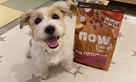 now鮮魚成犬糧．適中尺寸好消化