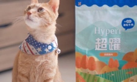Hyperr貓飼料X凍乾．胃口大開，吃得超香