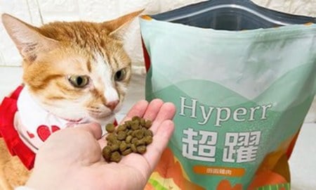 Hyperr無穀飼料．橘橘一口接著一口吃起來