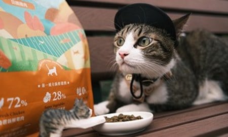 Hyperr無穀飼料．絕對不會錯過的乾乾