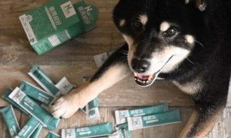 Hyperr腸胃益生菌．打造穩定的腸胃狀態