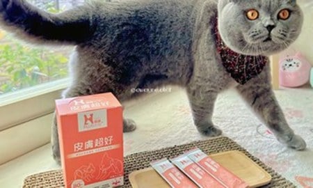 Hyperr皮膚益生菌．連難搞的黏黏都願意吃