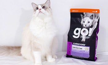 go!四種肉貓糧，高含肉量的選擇