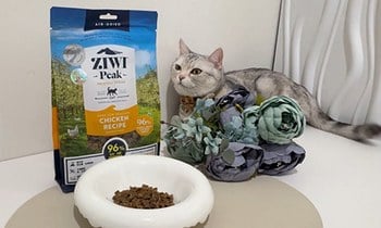 ZIWI巔峰風乾肉片．肉片狀𝗤𝗤彈彈的口感