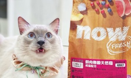now 貓糧．密封條設計的很特別
