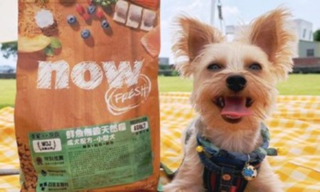 特殊小巧四葉草顆粒，輕鬆咀嚼無負擔