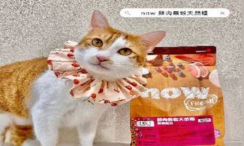 now鮮魚成貓糧．毛髮柔順有光澤