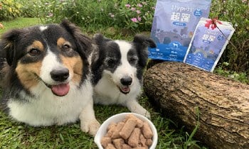 Hyperr狗凍乾生食．聞到淡淡的肉香