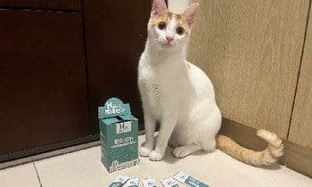 Hyperr腸胃益生菌．咪嚕醬直接舔光光