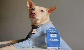 Hyperr免疫力保健品．先從免疫力開始顧好