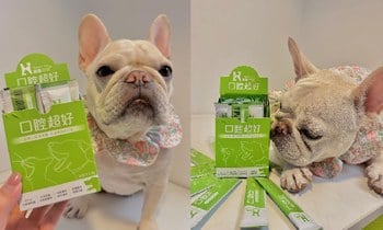 Hyperr口腔益生菌．推薦給也有口臭滴寶寶們