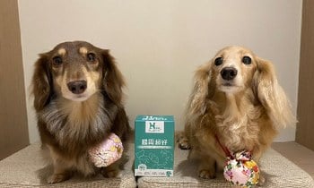 Hyperr腸胃益生菌．幫助軟便的困擾