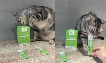 Hyperr口腔保健品．沒有再聞到口腔裡的異味