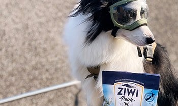 ZIWI巔峰風乾肉片．紐西蘭來的的肉肉就是讚啦！