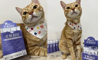 Hyperr毛髮超好保健品．泛紅有改善