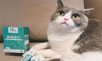 Hyperr腸胃益生菌．適口性是完全沒問題