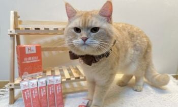 Hyperr皮膚益生菌．適口性真的很好