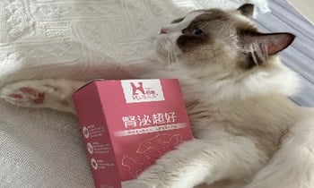 Hyperr腎泌益生菌．不愛喝水主子更需要補充