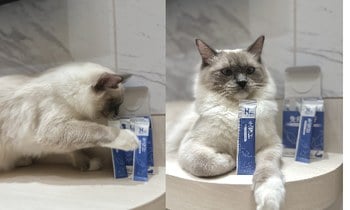 Hyperr免疫力保健品．鞏固免疫系統