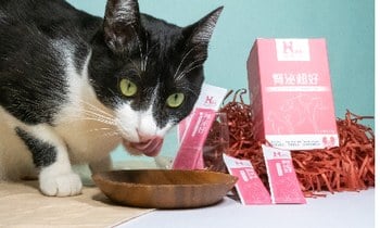 Hyperr腎泌益生菌．淡淡的酸甜味