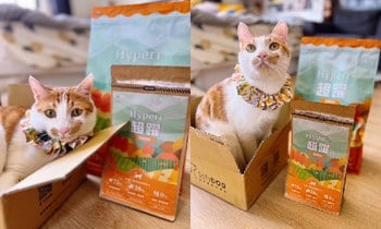 Hyperr無穀飼料．「適口性」非常好