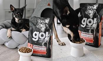 go! 鮭魚低致犬糧．非常安心的選擇