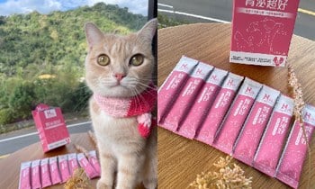 Hyperr腎泌益生菌．好保存之外帶出門也方便