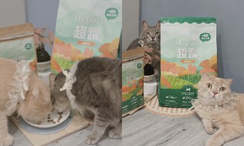 Hyperr貓飼料X凍乾．兩寶暴風吸食