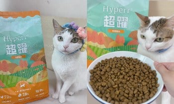 Hyperr無穀飼料．大便不會很臭