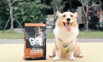 go!鹿肉低敏犬糧．照顧關節