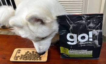 go! 雞肉鮭魚幼犬糧．幫助成長發育