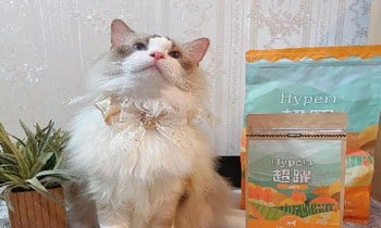 Hyperr無穀飼料．營養健康不胖胖