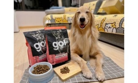 go!海洋鮭鱈狗糧．WDJ連年推薦品牌