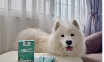 Hyperr腸胃益生菌．保護腸道環境