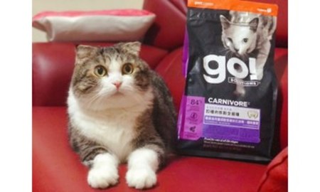 go!四種肉貓糧．好吃到不行