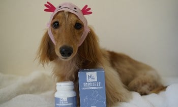 Hyperr關節保健品．好海洋的味道啊....