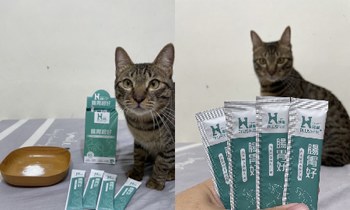 Hyperr腸胃益生菌．日常腸道保養