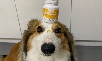 Hyperr挪威高濃度魚油．整顆放進飯飯一起吃