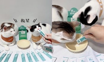 Hyperr腸胃益生菌．打造腸道好菌叢