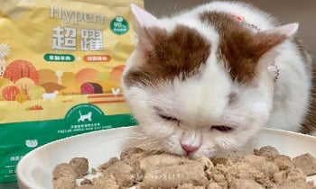 Hyperr貓凍乾生食．又多了一個選擇