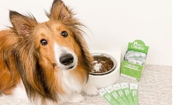 Hyperr口腔益生菌．嘴嘴終於不臭了