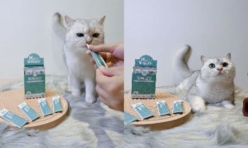 Hyperr腸胃益生菌．真心推薦