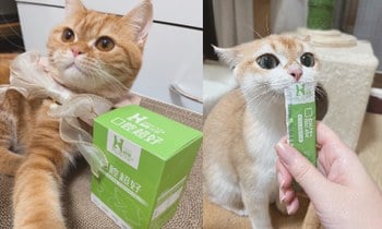 Hyperr口腔保健品．聽說這款產品很厲害