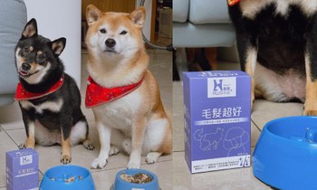 Hyperr毛髮超好保健品．提供毛髮生長營養