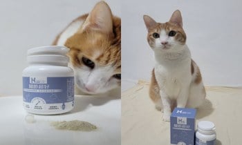 Hyperr關節保健品．直接效率吸收