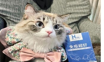 Hyperr免疫力保健品．提升保護力