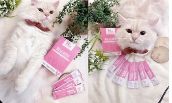 Hyperr腎泌益生菌．完整守護泌尿系統健康