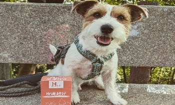 Hyperr皮膚益生菌．小包裝簡單方便