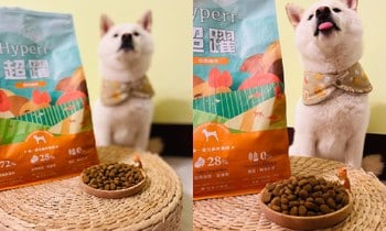 Hyperr無穀飼料．飼料直接秒殺