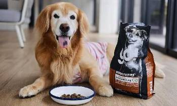 go!鹿肉低敏犬糧．飼料都吃完